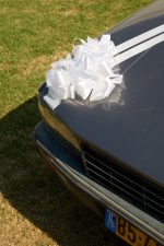 ⁦סרט מכסה מנוע + גבסנית לדלתות⁩ – תמונה ⁦3⁩